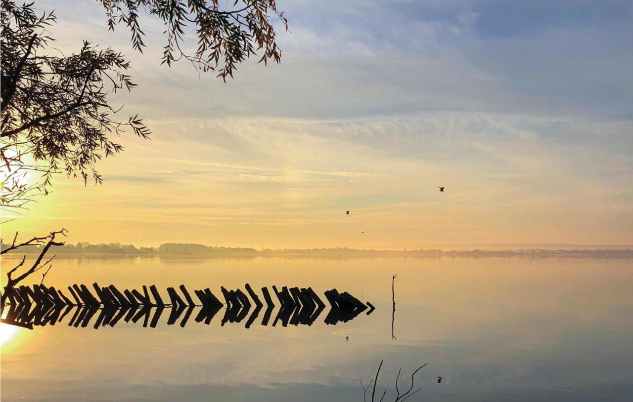 Lovely Home In Lembruch-Duemmer See With Wifi Экстерьер фото